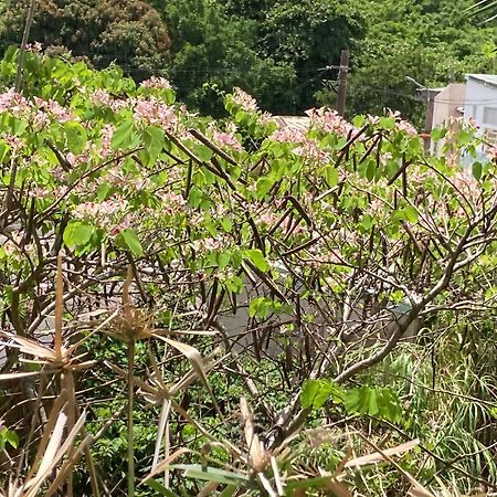 La Siguine Villa Gourbeyre Bagian luar foto