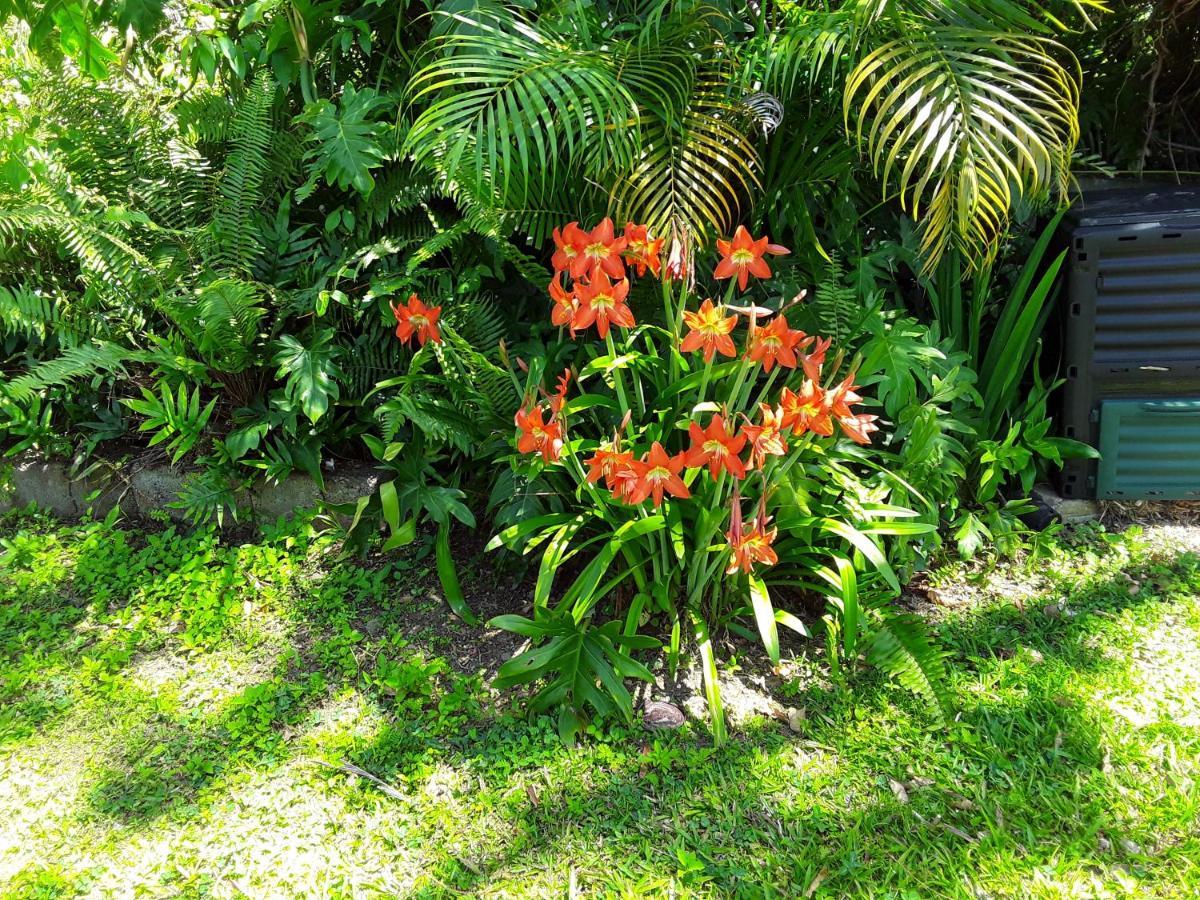 La Siguine Villa Gourbeyre Bagian luar foto