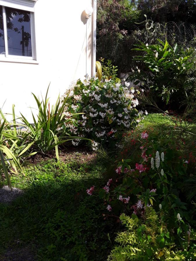 La Siguine Villa Gourbeyre Bagian luar foto