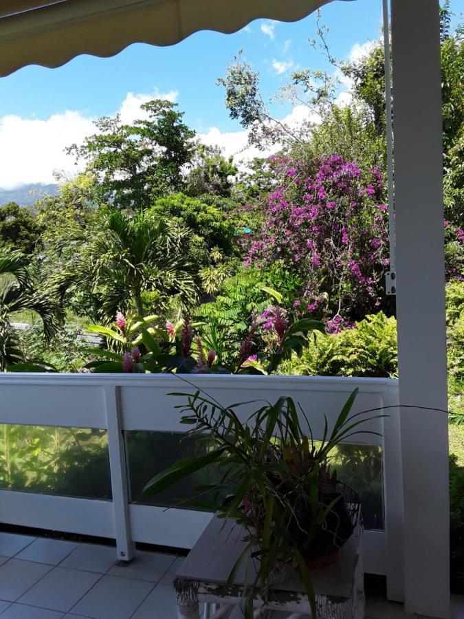 La Siguine Villa Gourbeyre Bagian luar foto