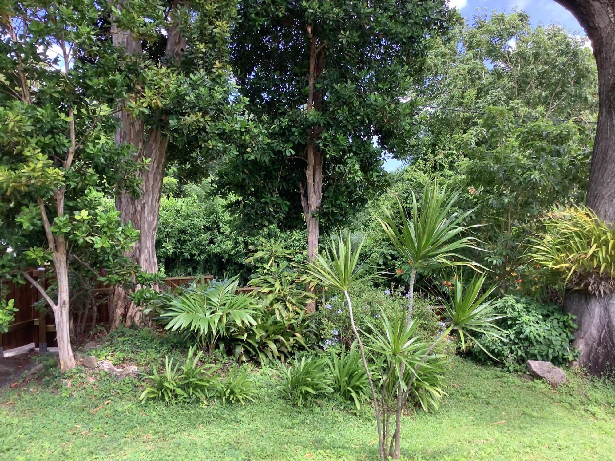 La Siguine Villa Gourbeyre Bagian luar foto