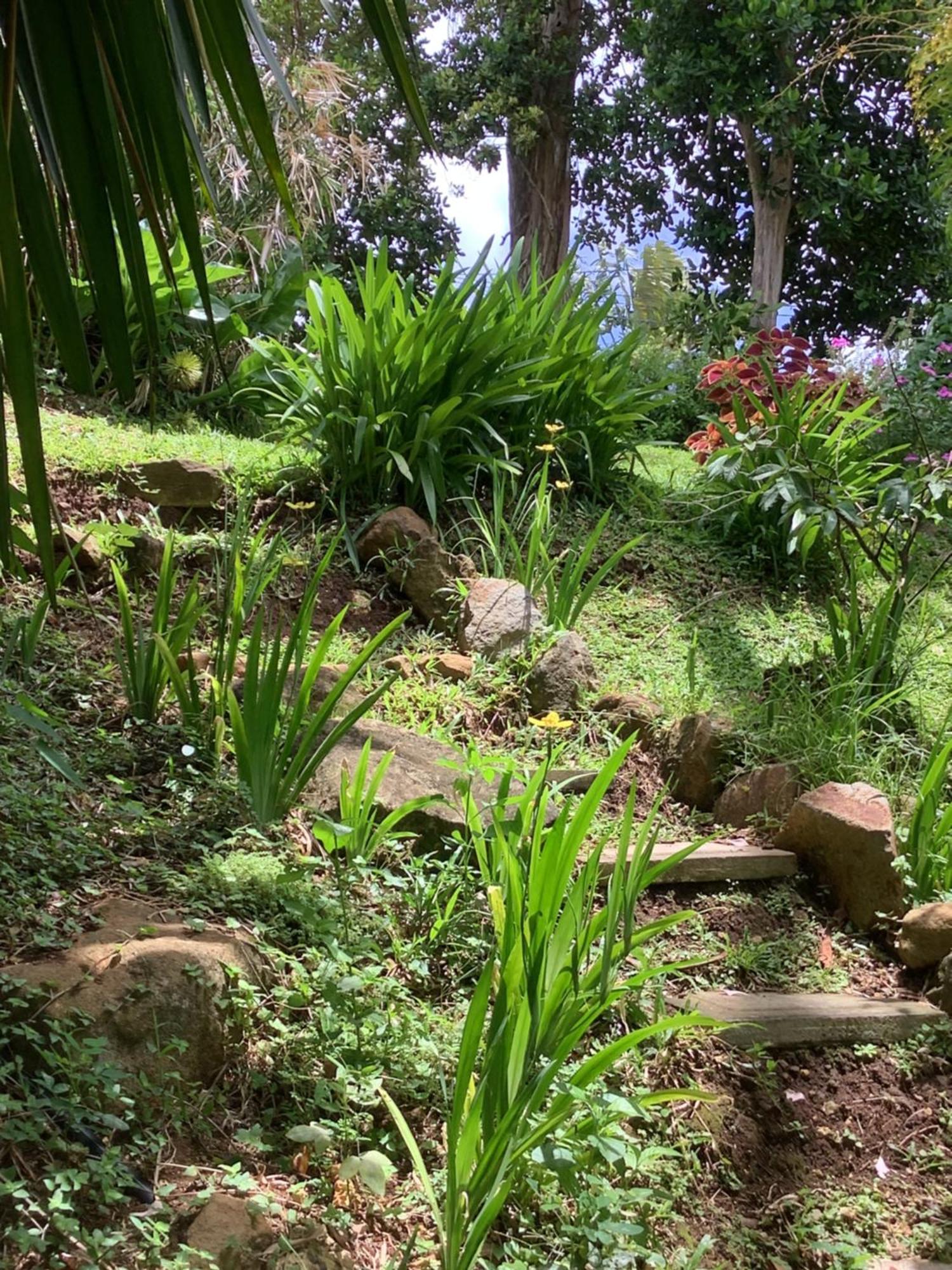 La Siguine Villa Gourbeyre Bagian luar foto
