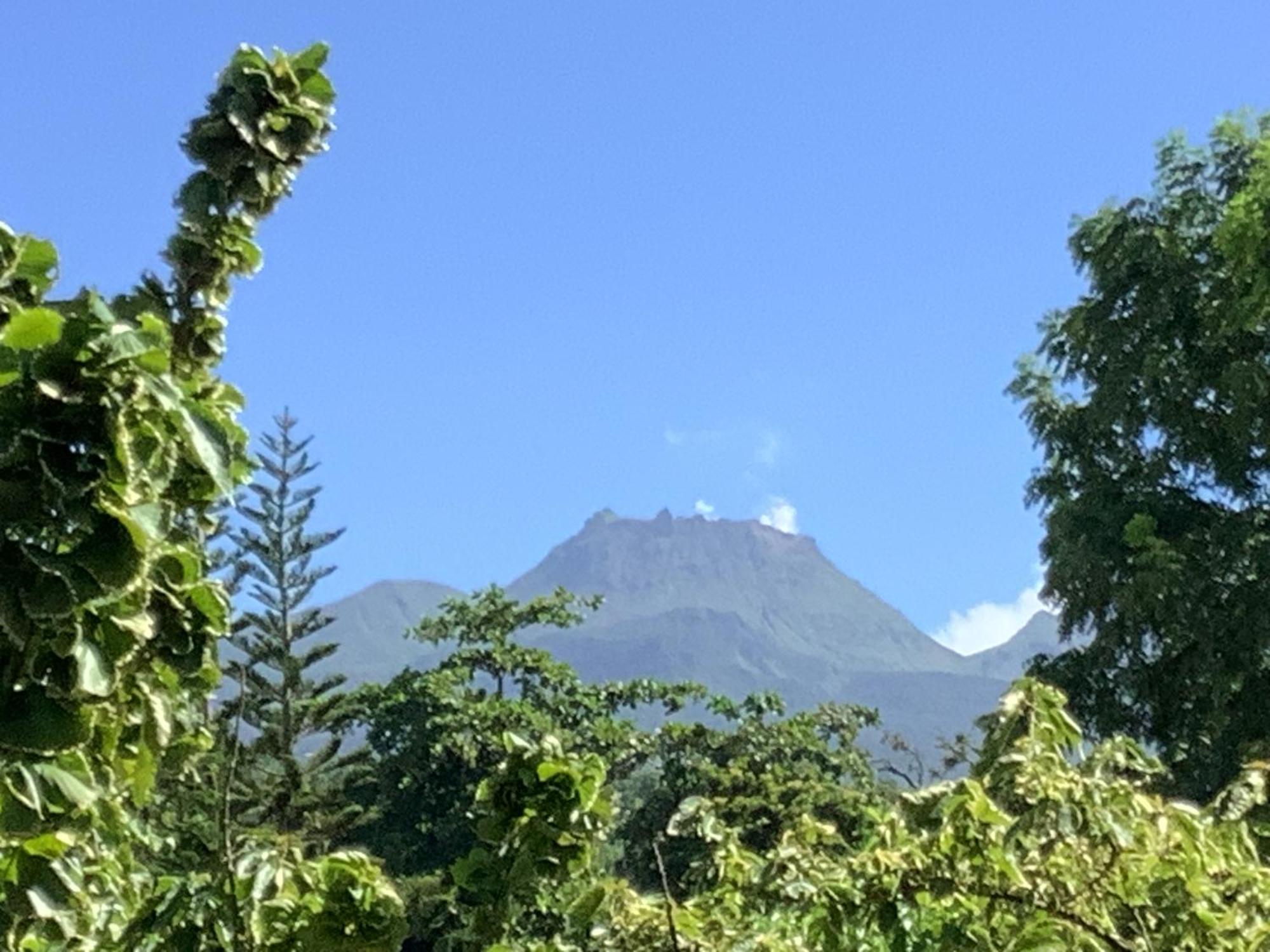 La Siguine Villa Gourbeyre Bagian luar foto